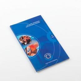 Customs Global information and intelligence strategy