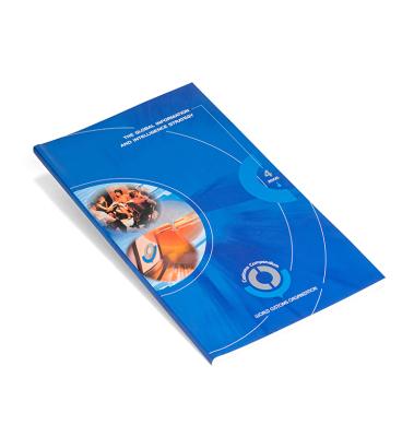 The Global information and intelligence strategy